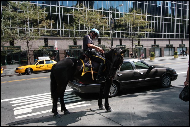 New York City 2009-043.JPG