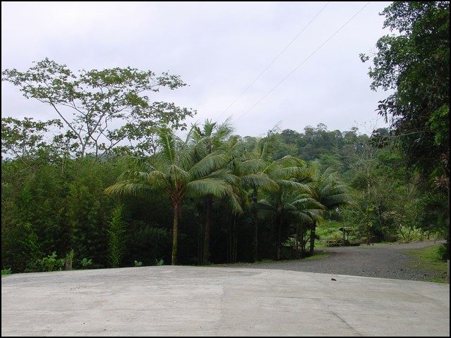 CR-Canapy Walking-01.jpg