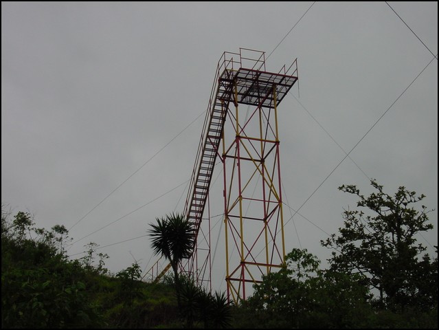 CR-Canapy Walking-03.jpg