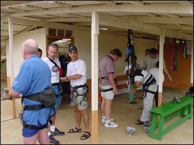 CR-Canapy Walking-04.jpg