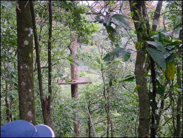 CR-Canapy Walking-07.jpg