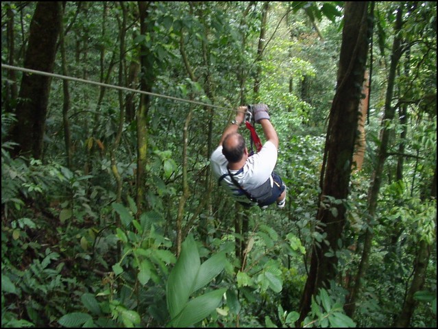 CR-Canapy Walking-07a.jpg