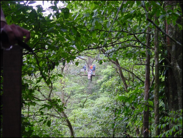 CR-Canapy Walking-10.jpg