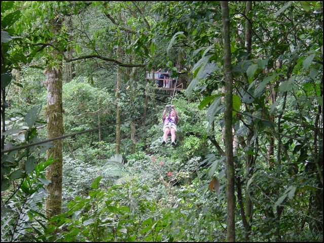 CR-Canapy Walking-13.jpg