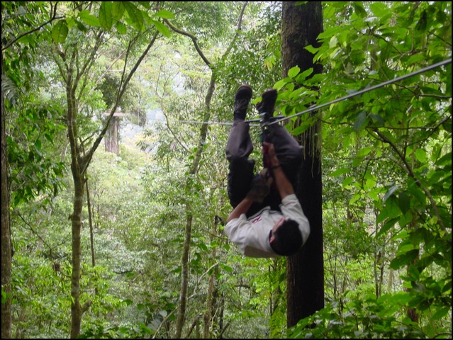 CR-Canapy Walking-21.jpg