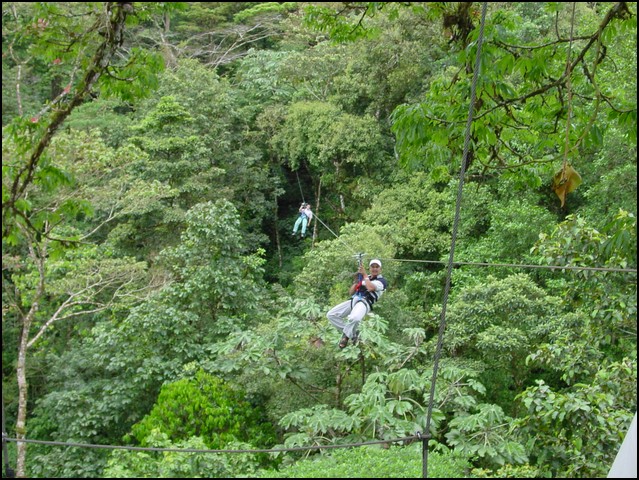 CR-Canapy Walking-24.jpg