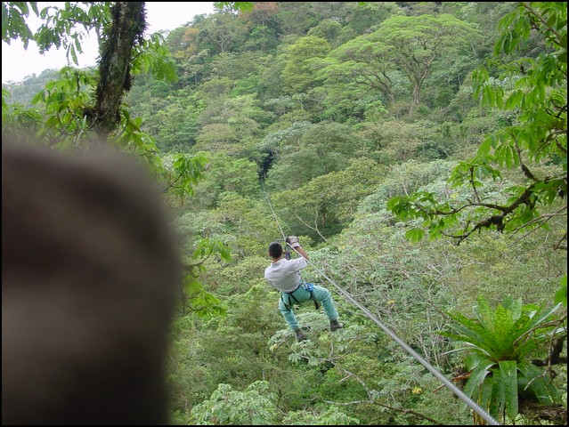 CR-Canapy Walking-28.jpg