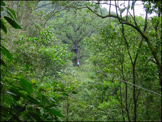 CR-Canapy Walking-33.jpg