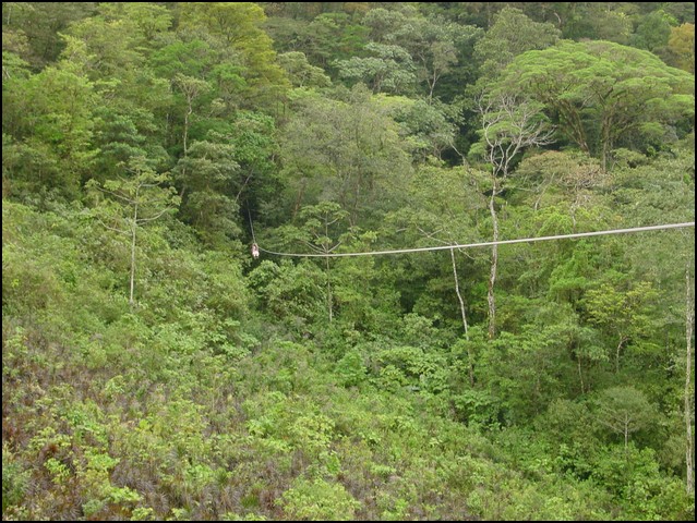 CR-Canapy Walking-36.jpg