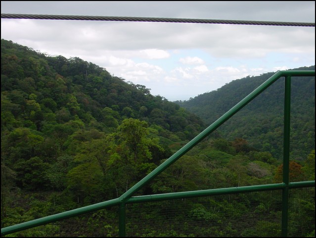 CR-Canapy Walking-37.jpg