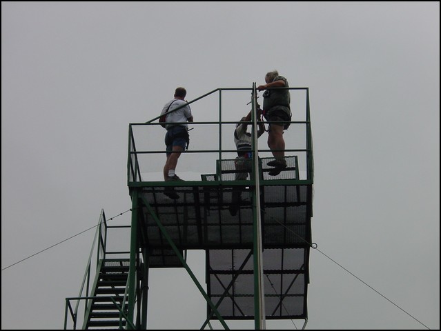 CR-Canapy Walking-38.jpg