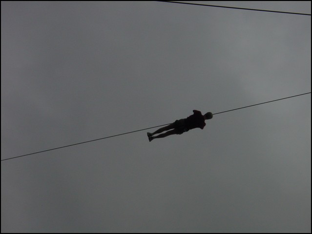 CR-Canapy Walking-39.jpg