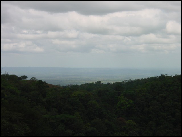 CR-Canapy Walking-41.jpg