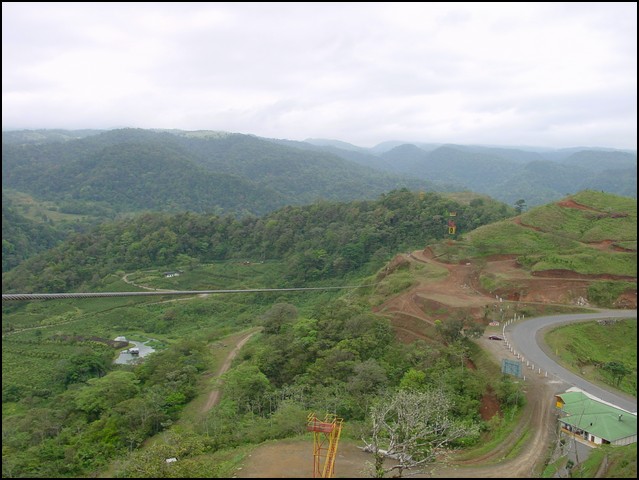 CR-Canapy Walking-43.jpg