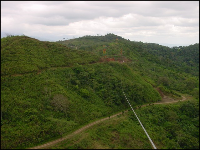 CR-Canapy Walking-46.jpg