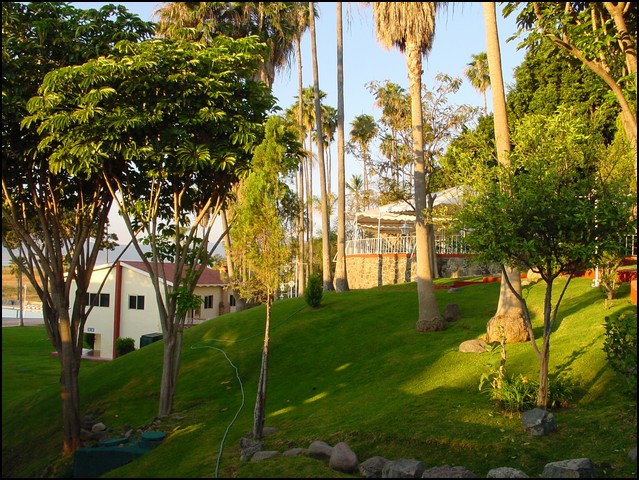 01-Mex-Lake Chapala-2.jpg