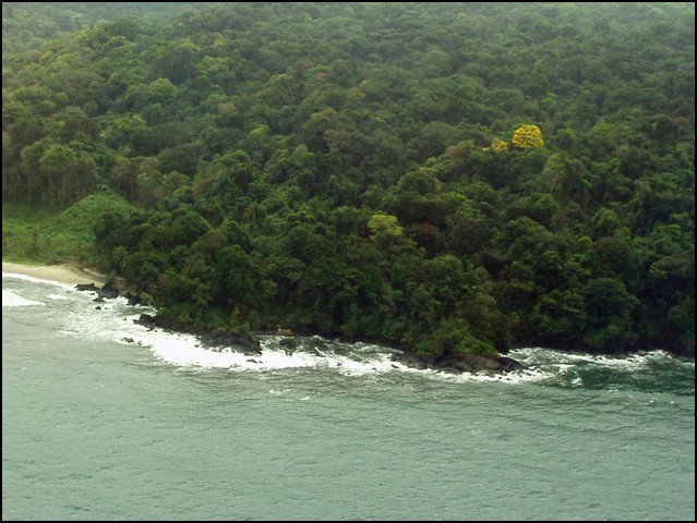 24-Pan-Bocas del Toro-3.jpg