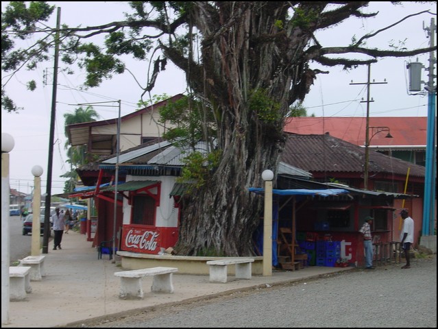 09-Pan-Bocas del Toro-7.jpg