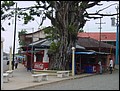 09-Pan-Bocas del Toro-7.jpg