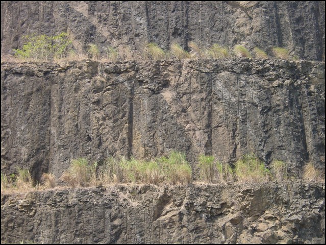 Pan Trip Down Canal-43.jpg