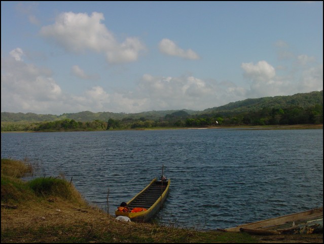 Pan Trip into Jungle-02.jpg