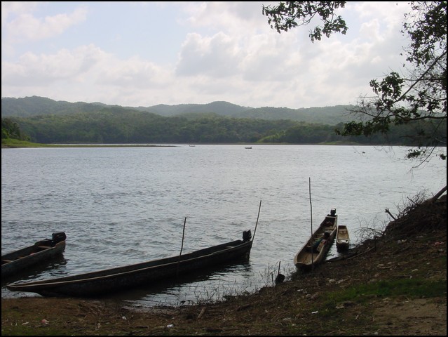 Pan Trip into Jungle-03.jpg