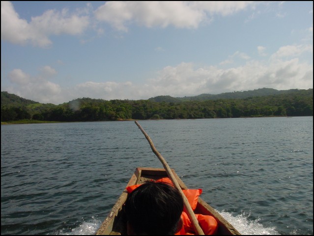 Pan Trip into Jungle-04.jpg