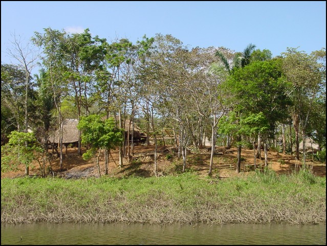 Pan Trip into Jungle-07.jpg