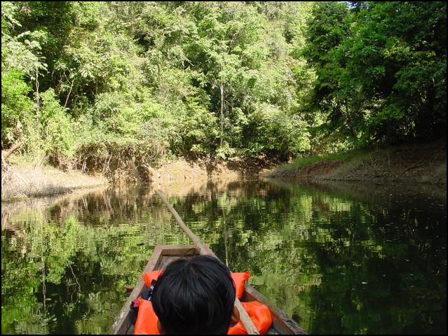 Pan Trip into Jungle-12.jpg