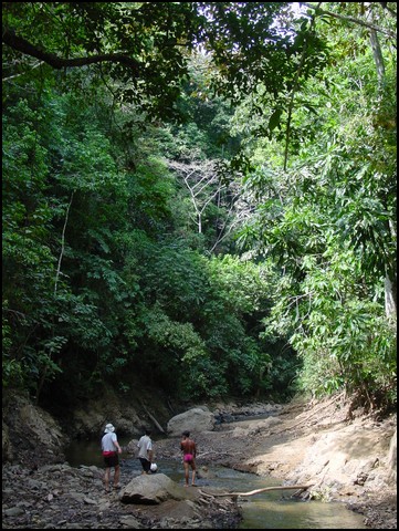 Pan Trip into Jungle-16.jpg