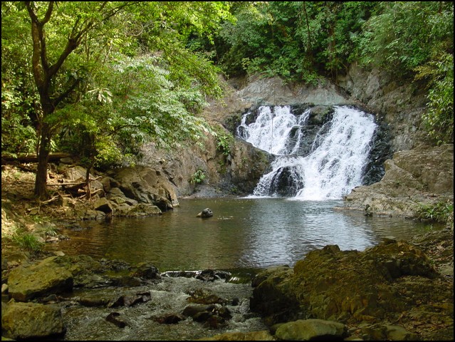 Pan Trip into Jungle-17.jpg