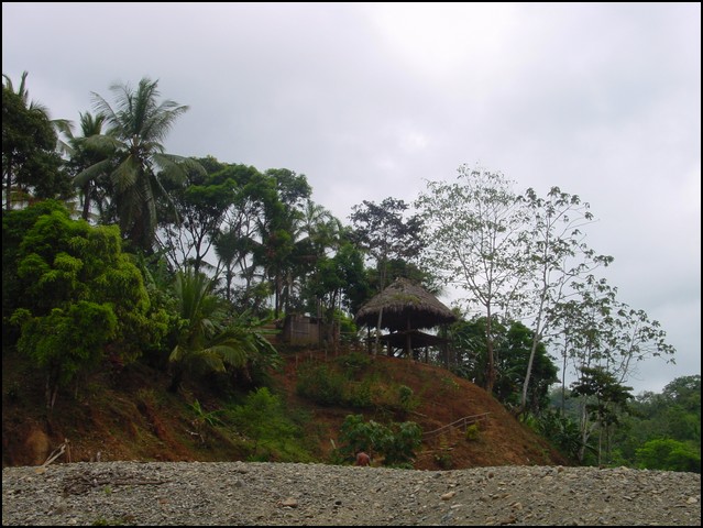 Pan Trip into Jungle-22.jpg