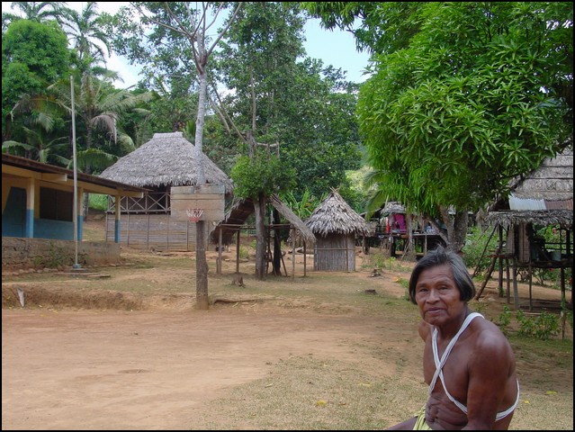 Pan Trip into Jungle-28.jpg