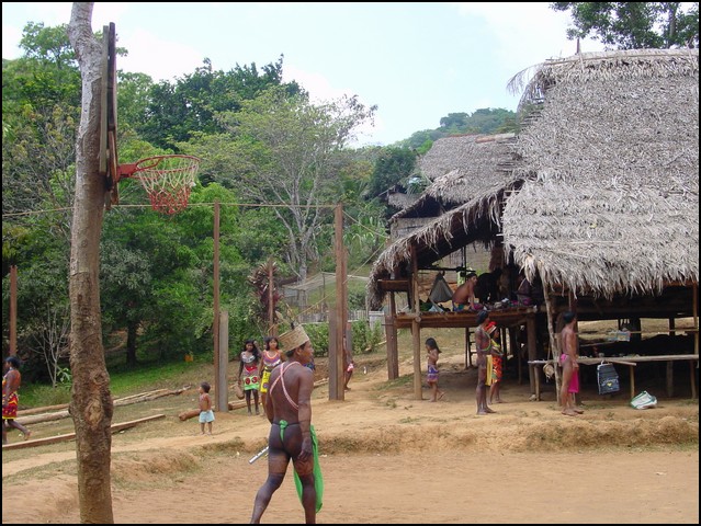 Pan Trip into Jungle-30.jpg