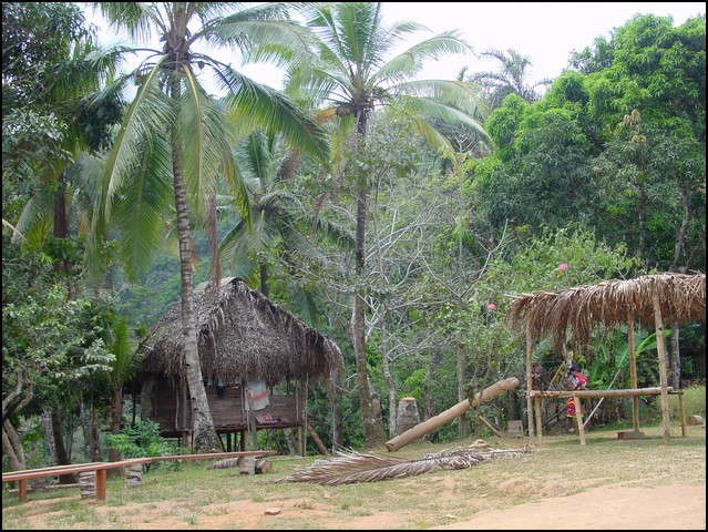 Pan Trip into Jungle-31.jpg