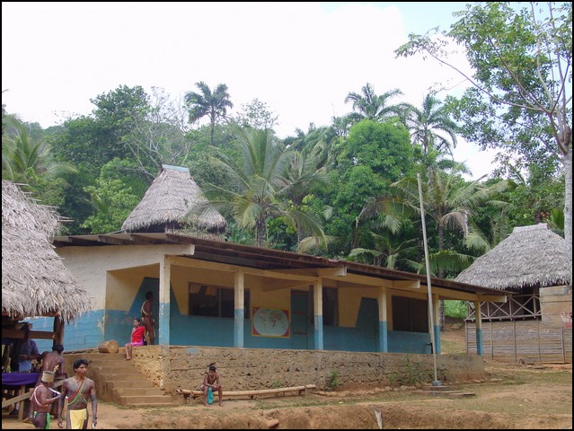 Pan Trip into Jungle-32.jpg