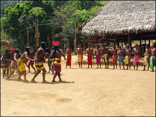 Pan Trip into Jungle-39c.jpg