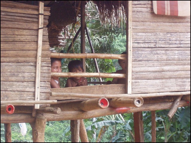 Pan Trip into Jungle-39f.jpg