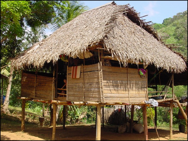 Pan Trip into Jungle-40.jpg