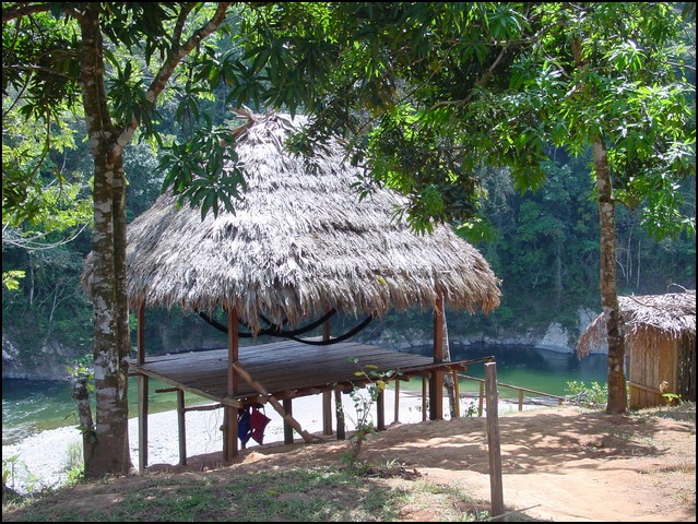 Pan Trip into Jungle-41.jpg