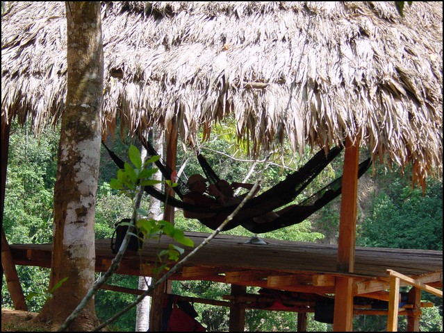 Pan Trip into Jungle-43.jpg