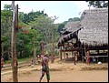 Pan Trip into Jungle-30.jpg