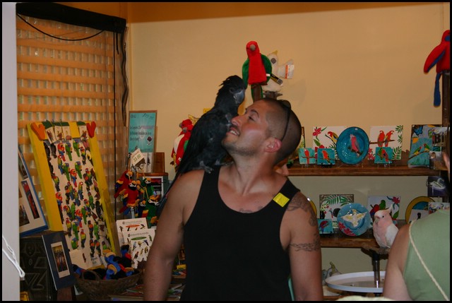 IMG_3782.JPG