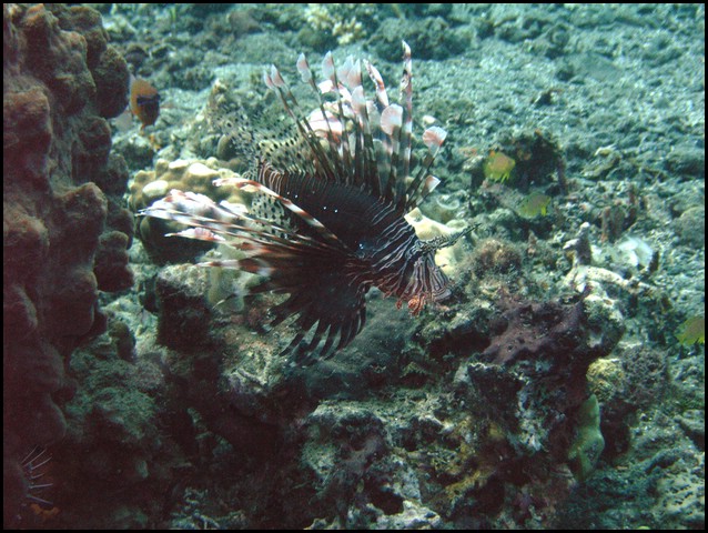M0010082.JPG