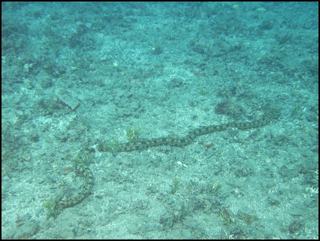 M0010086.JPG