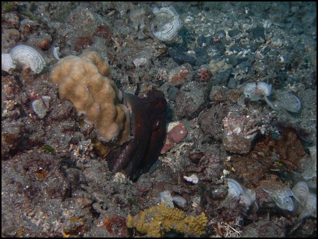 M0010096.JPG