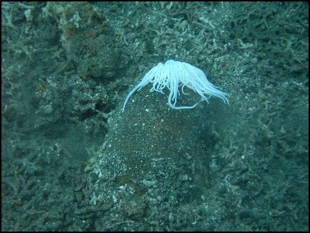 M0010104.JPG