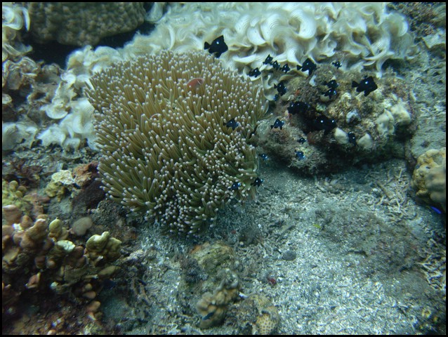 M0010107.JPG
