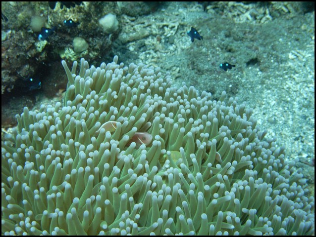 M0010110.JPG