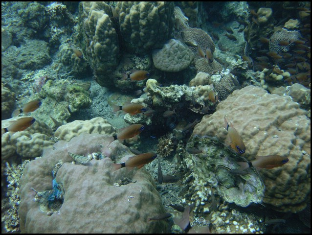 M0010117.JPG